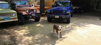 Two Jeeps and a Scout.jpg