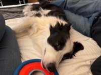 IMG_5243.jpeg