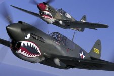 flying-tiger-theme-eight-p-40-warhawk.jpg