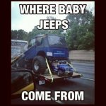 Baby Jeeps.jpg