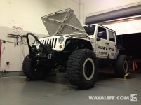 IMG_3334.jpg IMG_3334.jpg