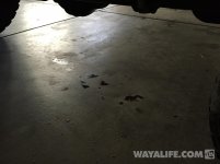 IMG_0153.jpg IMG_0153.jpg