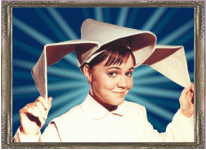 The-Flying-Nun-the-flying-nun-28014414-340-248.gif