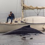 Texting Beside Humback Whale.jpg