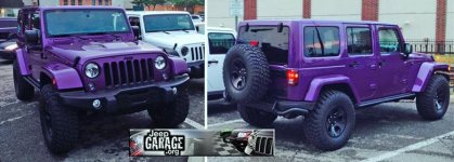 purple jku.jpg