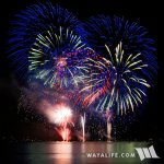 fireworks2015-01.jpg