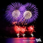 fireworks2015-02.jpg