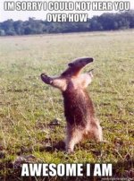 IM-SORRY-I-COULD-NOT-HEAR-YOU-OVER-HOW-AWESOME-I-AM.jpg