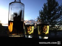 WAYALIFE-SHOTGLASSES-2014.jpg