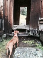 ImageUploadedByWAYALIFE1441763798.925852.jpg