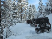 Jeeps In snow.jpg