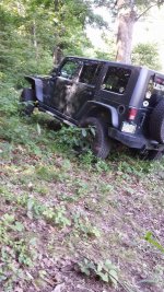 jeep in the brush.jpg