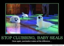 stop-clubbing-baby-seals.jpg