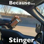 Stinger.jpg