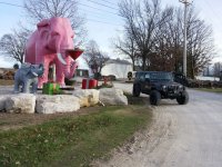 Martini-Drinking Pink Elephant IN.jpg