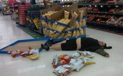Funny_Pictures_aww-found-this-little-guy-sleeping-in-the-supermarket_10788.jpeg