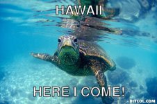 hawaii-meme-generator-hawaii-here-i-come-63337e.jpg