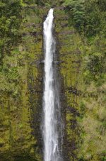 Akaka Falls.jpg