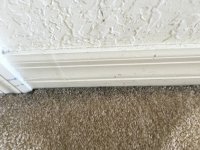 Baseboard.jpg