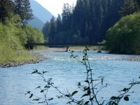 Bridge across the Quinault.jpg