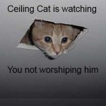WorshipCeilingCat.jpg