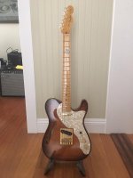 tele thinline.jpg