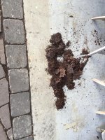 Rock rails output.jpg Rock rails output.jpg