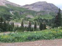 IMG_6392.jpg IMG_6392.jpg