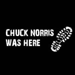 chuck norris.jpg