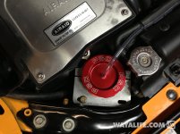 IMG_4337[1].jpg