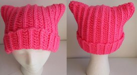 Pink-pussyhat-screencap-via-JessesMomus-on-Etsy.jpg