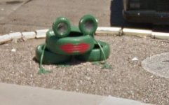 Frog on broadway.jpg