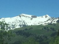 IMG_5713.JPG IMG_5713.JPG