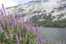 IMG_0196.jpg IMG_0196.jpg