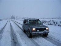 IMG_0791.jpg
