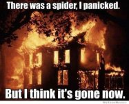 there-was-a-spider-i-panicked.jpg