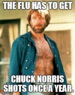 Chuck-norris-meme.jpg