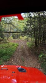 trail 2.jpg