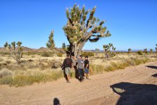 DSC_0762.JPG DSC_0762.JPG