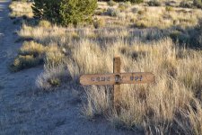 DSC_0770.JPG DSC_0770.JPG