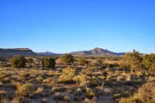 DSC_0777.JPG DSC_0777.JPG