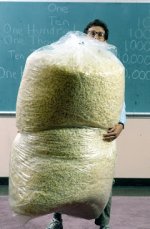 100,000 pieces of popcorn-reduced.jpg