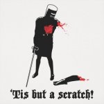 tisbutascratch-t-shirt-tn-400x400.jpg