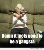 Gangster-Meme-Damn-It-Feels-Good-To-Be-A-Gangsta-Photo.jpg
