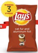 lays-do-us-a-flavor-parodies-06-cat-fur-and-aluminum-foil.jpg