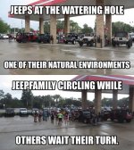 jeepwateringhole.jpg