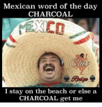 mexican-word-of-the-day-charcoal-i-stay-on-the-29627774.png