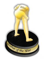 polls_8051d1070806039_13th_annual_asshat_awards_sshat_trophy_5118_608949_answer_1_xlarge.jpeg