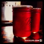 ImageUploadedByWAYALIFE1380155795.161886.jpg