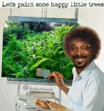 Bob-Ross-Memes-006-Snoop-Dogg-little-happy-trees.jpg